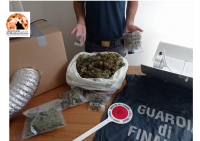 Montesilvanese beccato con oltre mezzo kg di  hashish, marijuana e attrezzatura.