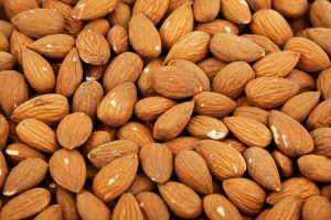 Semi di albicocca, moda salutista come potente antitumorale. Attenzione "possono essere mortali".