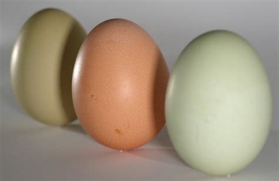 Uovo, simbolo della Pasqua. Cosa rappresenta?
