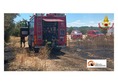 Incendi nel Gargano, in Puglia. "Non basta intervenire nell’emergenza: servono scelte tecniche e amministrative"