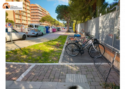  Foto notizia Cipas