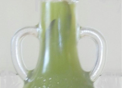 Ricetta. Liquore alle Foglie di Olivo