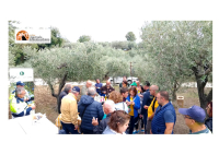 “Camminata tra gli olivi”, dove sorgerà un teatro a Fossacesia.
