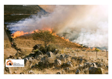 Abruzzo/rischio incendi: scattano nuovamente le prescrizioni e i divieti tipici del periodo estivo.