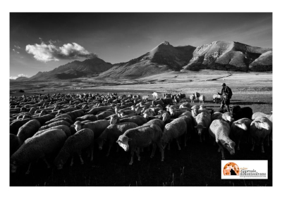 "Transumanza", l'identità del territorio nelle foto di Luciano Sergiacomo