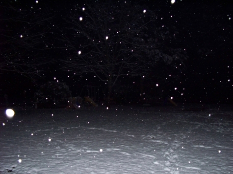 Abruzzo/neve. 74 Comuni senza energia elettrica