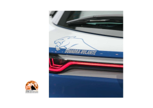 Pescara, ragazzo di 20 anni prende a calci portone e aggredisce ex, poi si scaglia contro poliziotti