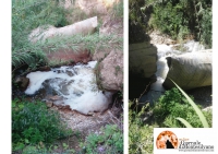 Schiuma nel fiume Pescara in zona San Martino