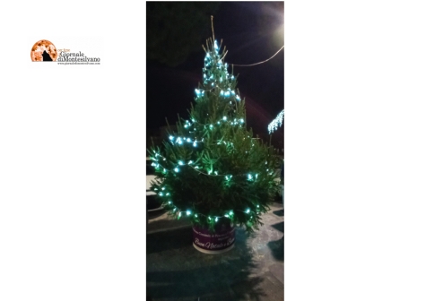 Pescara. L’albero di Natale di Castellamare accende le luci in Largo Madonna