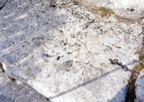 Briganti: incisioni, panorami, storia