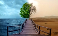 Legambiente. Rapporto Ambiente Italia 2016