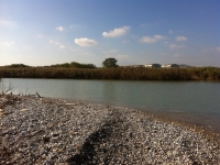 fiume Saline