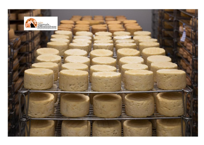 Grandi formaggi d'Abruzzo alla vetrina internazionale del cheese di Bra