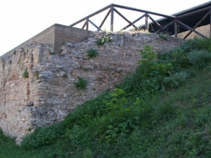 Il Picchio e la Tortora" ...migrando nel tempo, alla ricerca delle nostre radici.