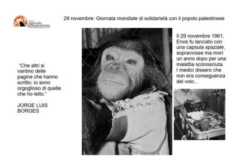 Enos in copertina