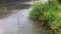 Lungofiume Saline allagata, fotogramma tratto da un video prodotto da Ruggero
