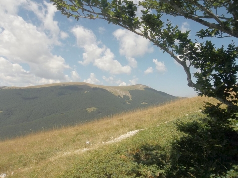 Rivisondoli. Il silenzio del Monte Porrara e la "carta igienica del cow boy"