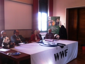 Pescara. La tutela del mare, incontro con la presidente WWF