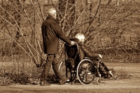 Montesilvano/disabilità. Tessere gratuite circolazione su mezzi pubblici