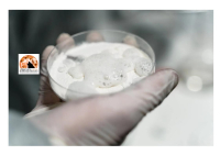 Sulmona, arrestato uomo con 100 grammi di cocaina.