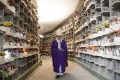 Papa Francesco 