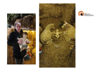 Fossacesia, bambinello del presepe, trafugato e poi ritrovato.