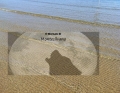 Montesilvano/Matrimoni all’aperto, anche le spiagge libere tra le location a disposizione