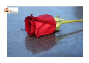 Donazioni in memoria del defunto: la solidarietà non si esaurisce con la morte