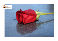 Donazioni in memoria del defunto: la solidarietà non si esaurisce con la morte
