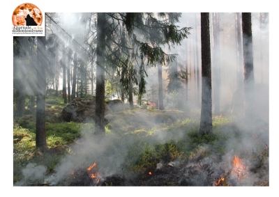 Incendi Chieti, Sinistra Italiana, "Potrebbero esserci interessi malavitosi"
