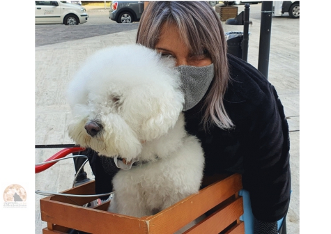 Pescara/quarantena Covid 19. Servizio Comune per portare cani a passeggiare