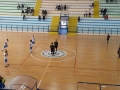 PalaRoma arriva il Torresavio Cesena