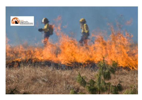 Incendi Abruzzo: in due mesi bruciati 2.532 ettari, pari a 3.546 campi da calcio, gran parte in aree protette.