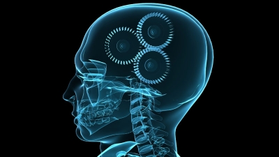 Francavilla: II open day della psicologia