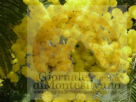 Pescara, donna: “storia di conquiste e discriminazioni”