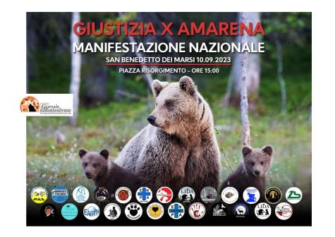 Orsa Amarena. Animalisti manifestano a San Benedetto dei Marsi: galera per chi uccide animali.