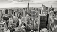 Coronavirus. Lo Stato di New York ha registrato 799 morti in più