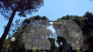 Pescara/alberi. Morelli conferma operato di Di Pietro. Gli architetti vogliono un tavolo per Piano verde