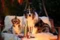 Capodanno, attirare la fortuna con quei piccoli rituali propiziatori.
