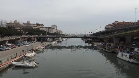 Pescara. Del Vecchio: “Lunedì la delibera nuovo depuratore approda in Consiglio”