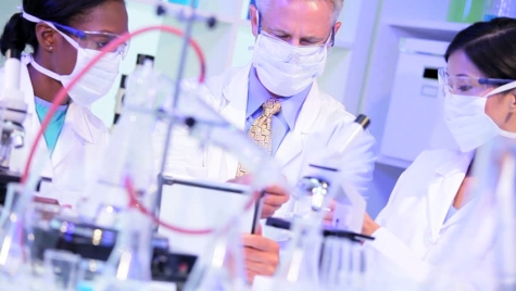 Cavie umane per testare farmaci.