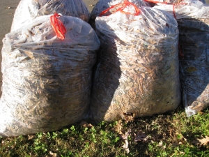 Pianella: giornata per la raccolta dei rifiuti agricoli speciali