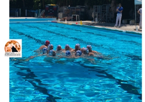 Pallanuoto. Risultato contro la Jesina blinda il secondo posto del Club Aquatico