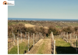 Scerni, una Campestre in omaggio alla ventricina
