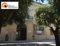 Domenica gratis al museo