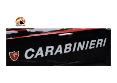 Video on line/abusi minorenne, tre arresti.