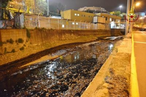 foto vigili del fuoco