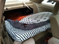 auto attrezzata per dormire