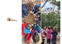 Festa dell'Albero 2021. Co.n.al.pa. dona sette nuovi alberi alle scuole di Francavilla al Mare