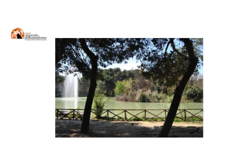 Pescara/Pineta dannunziana: via ai lavori di abbattimento e rimozione degli alberi morti